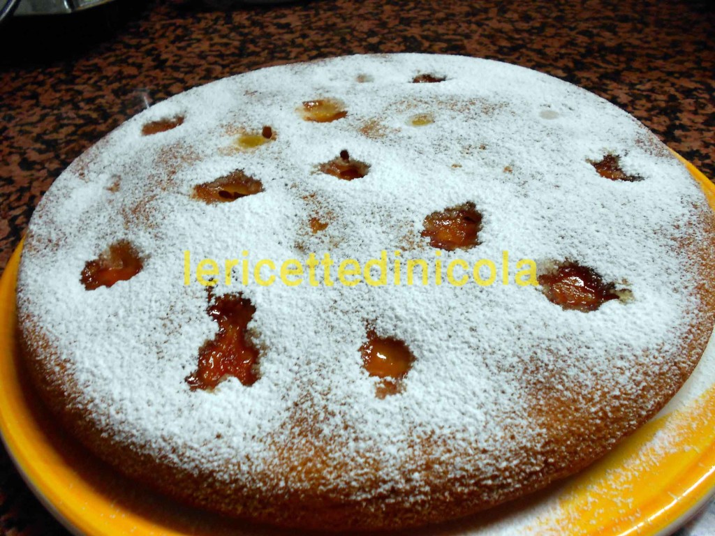 torta-albicocca-018