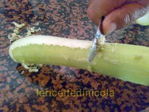 minestra-zucchina-lunga